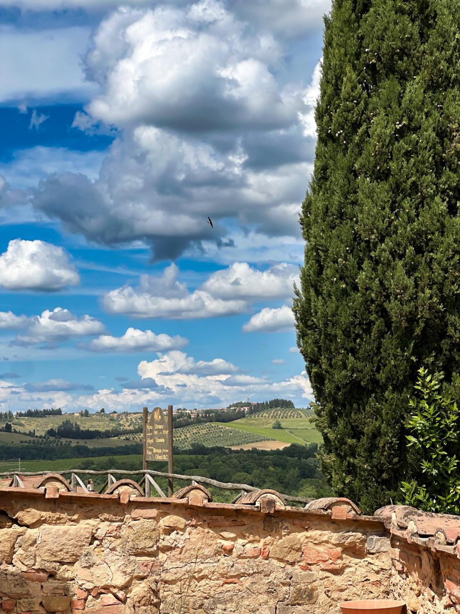 Agriturismo Fattoria Sant'Appiano Барберино-Валь-д'Эльса Экстерьер фото